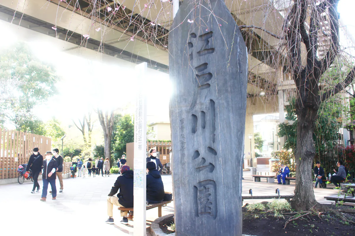 江戸川公園は明治から続く桜の名所 川に覆いかぶさるように咲く桜は必見 オマツリジャパン あなたと祭りをつなげるメディア 江戸川公園は明治から続く桜の名所 川に覆いかぶさるように咲く桜は必見 オマツリジャパン あなたと祭りをつなげるメディア