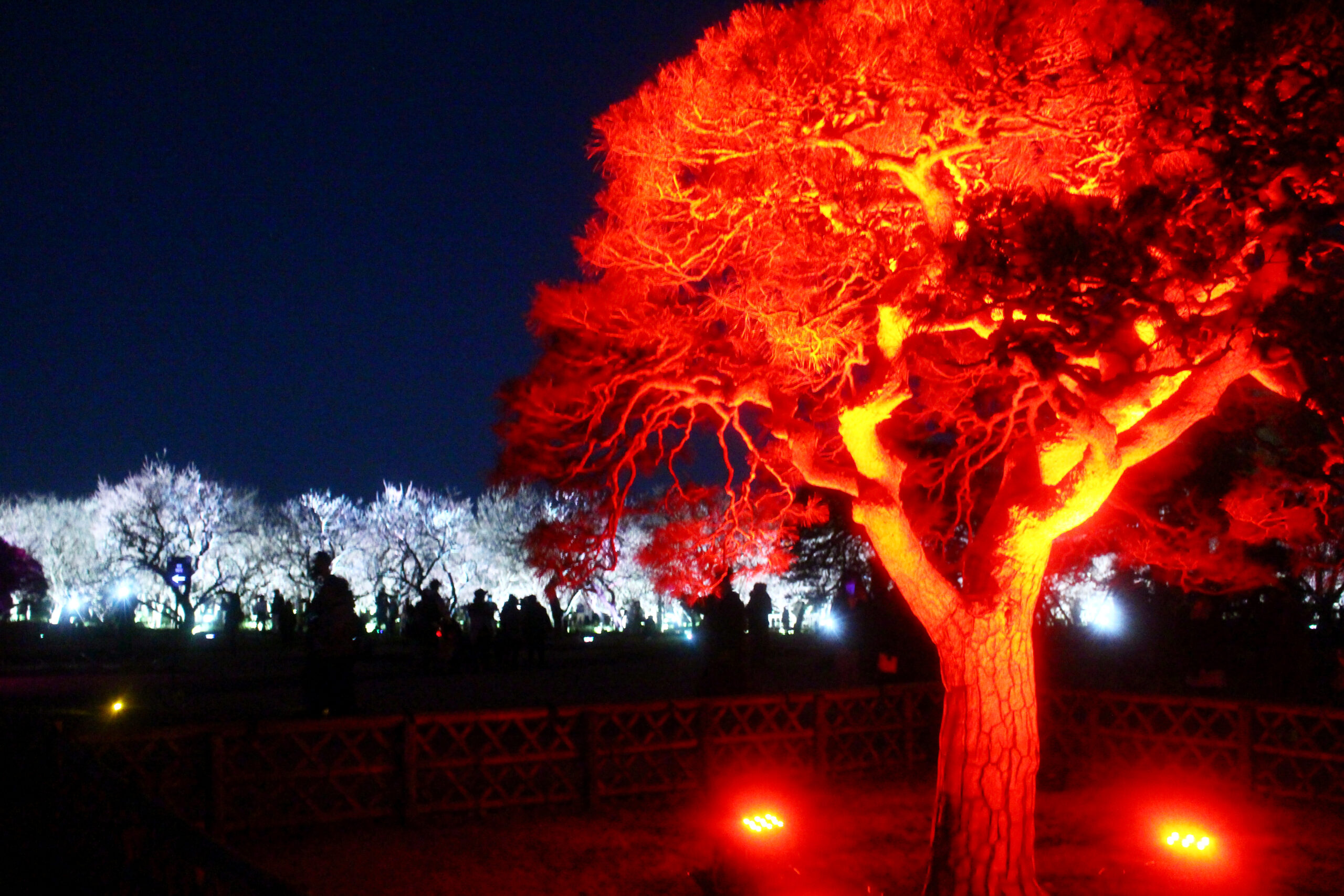 水戸の梅まつり