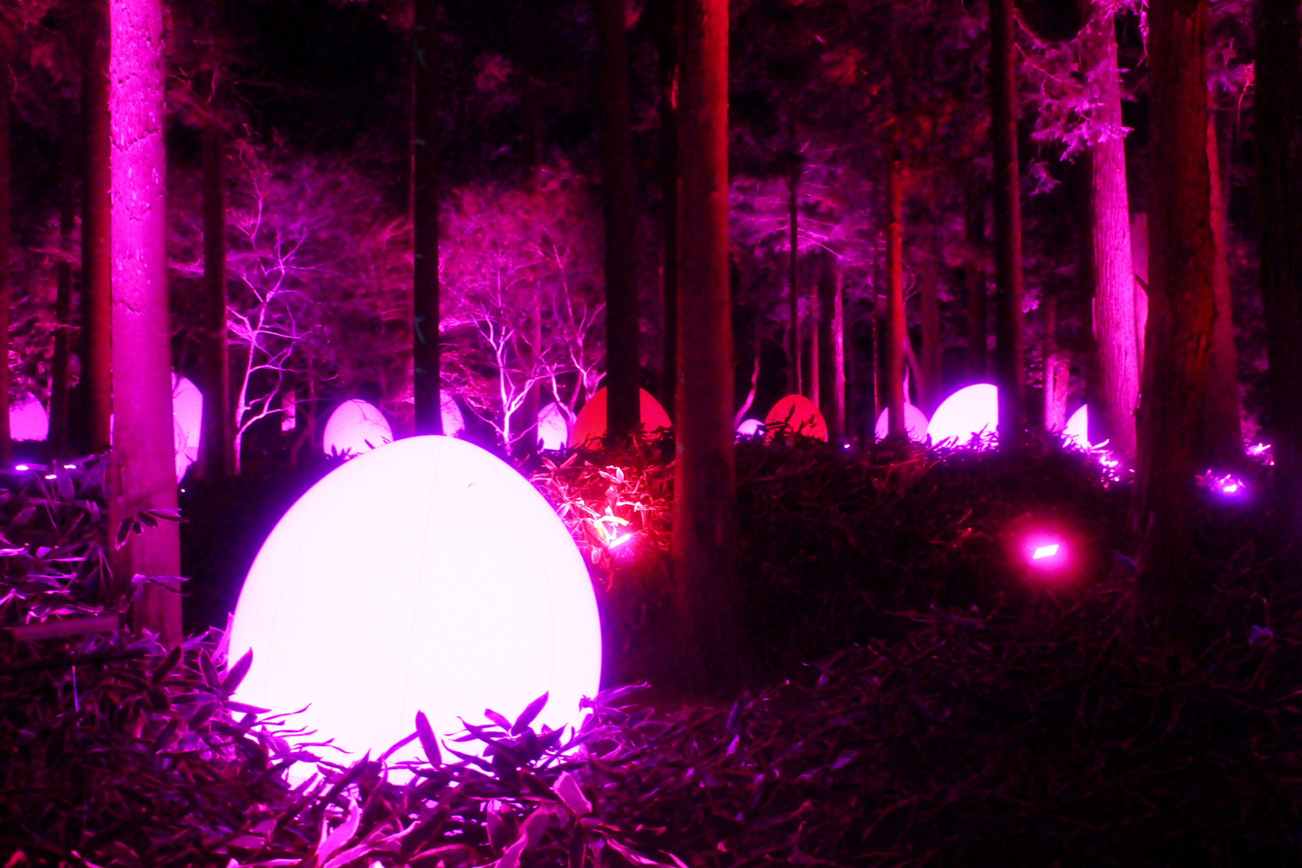 水戸の梅まつり