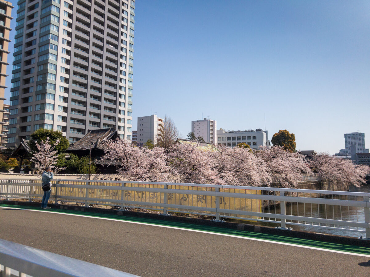 目黒川(五反田駅〜旧東海道・品川橋)