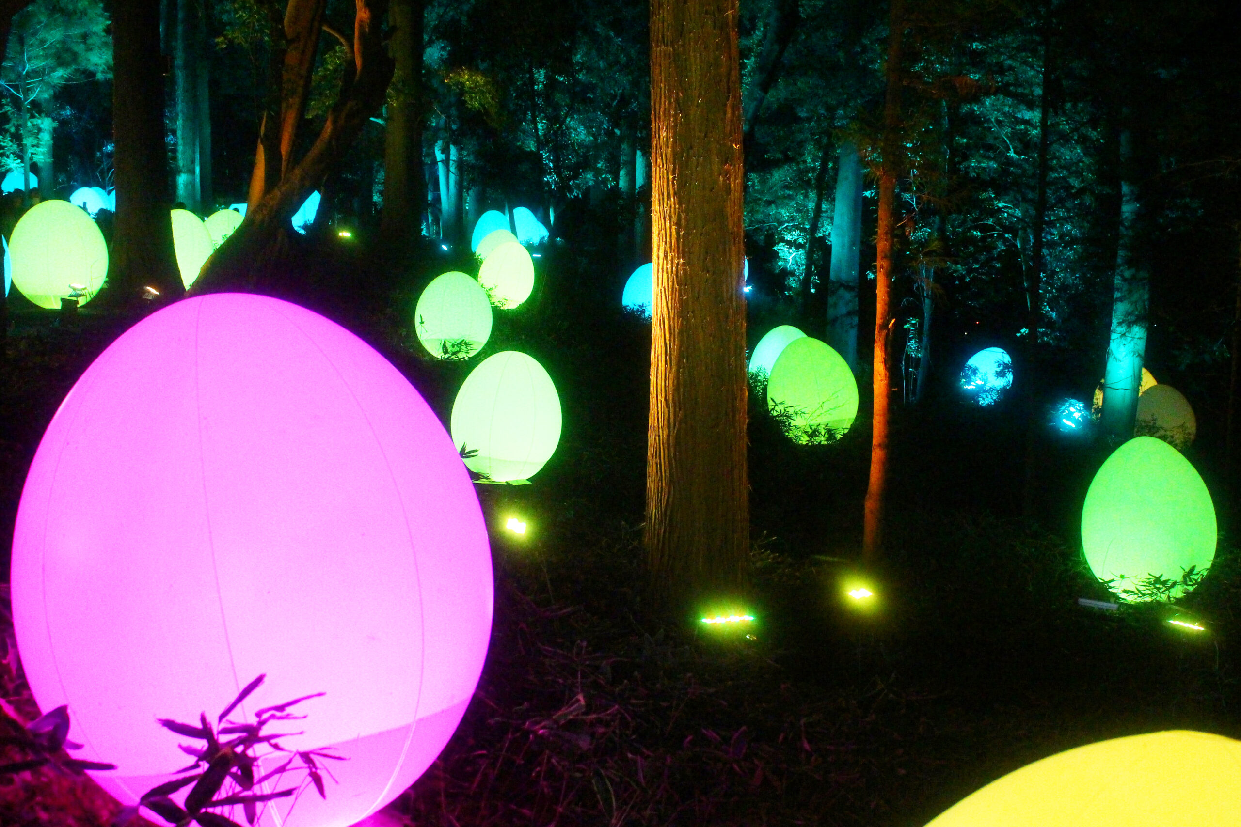 水戸の梅まつり