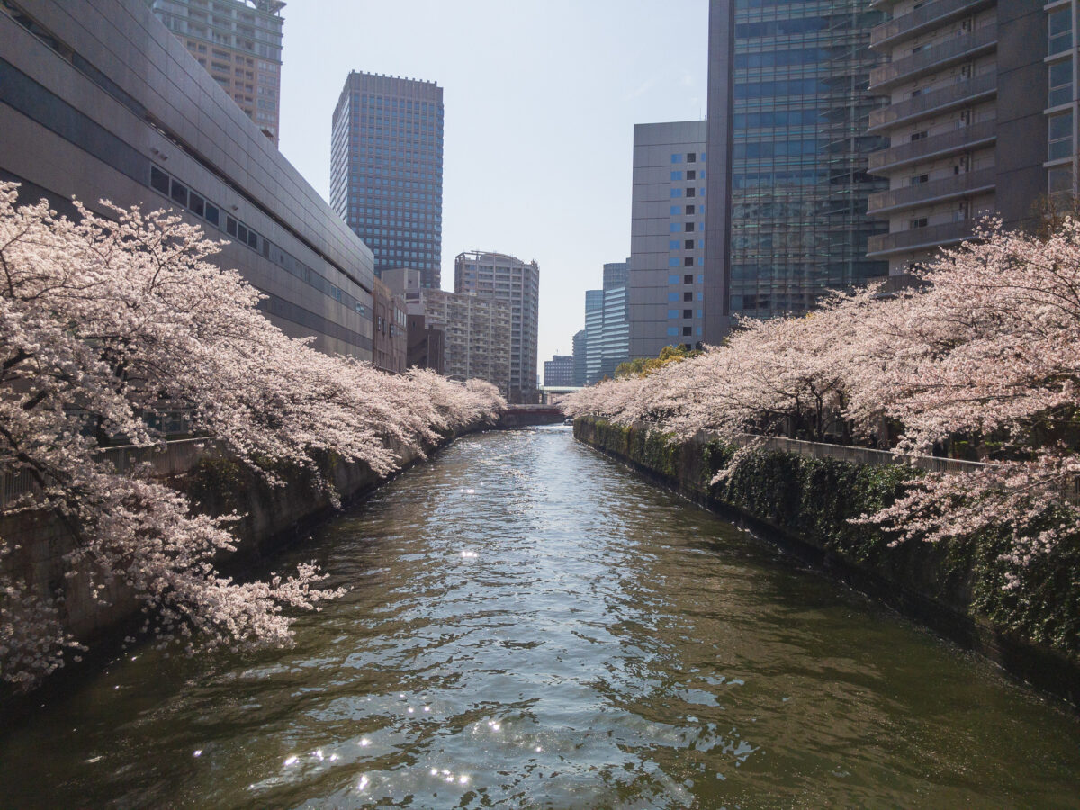 目黒川(五反田駅〜旧東海道・品川橋)