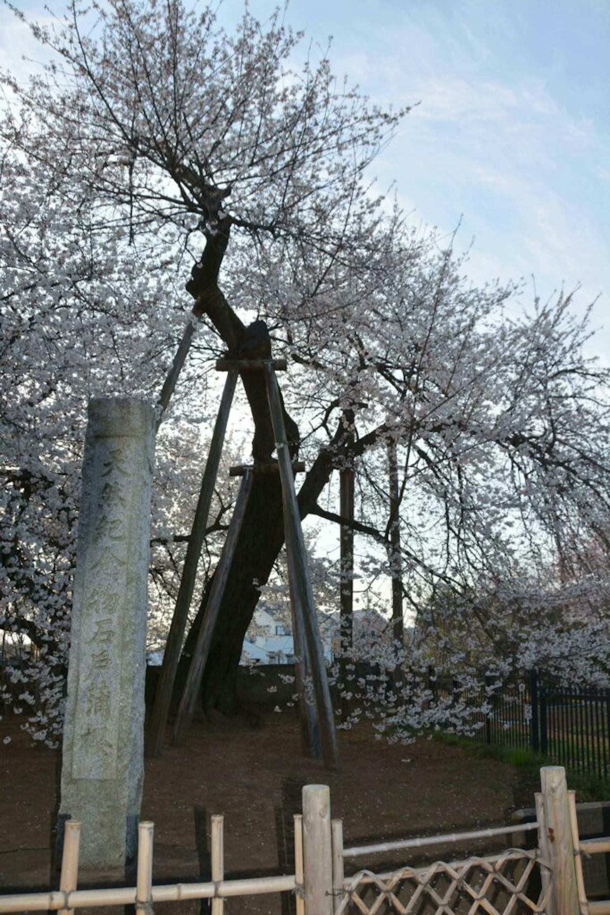 Mnn Vfaf Htnim Mnn Vfaf Htnim