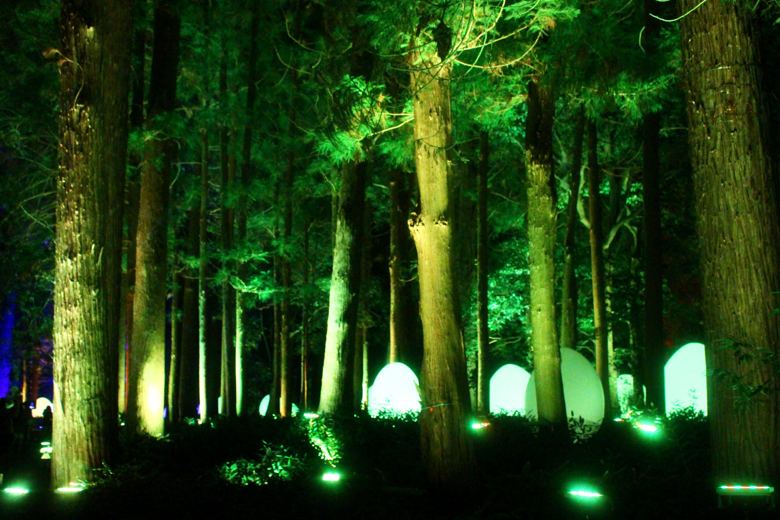 水戸の梅まつり