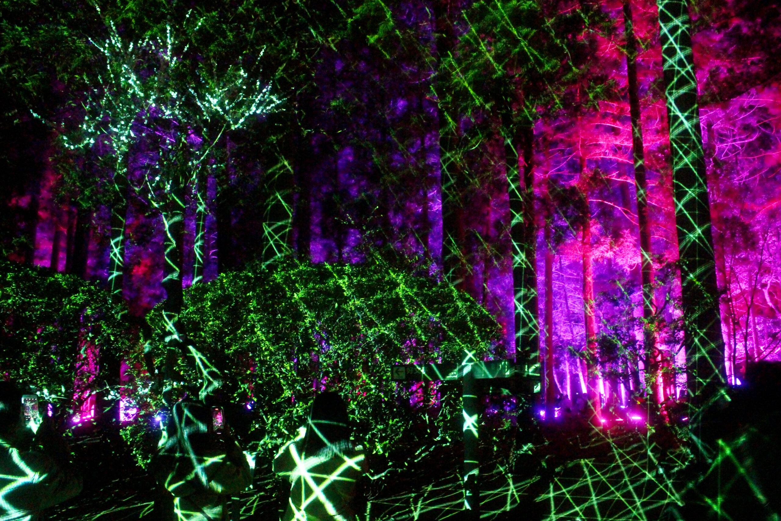 水戸の梅まつり