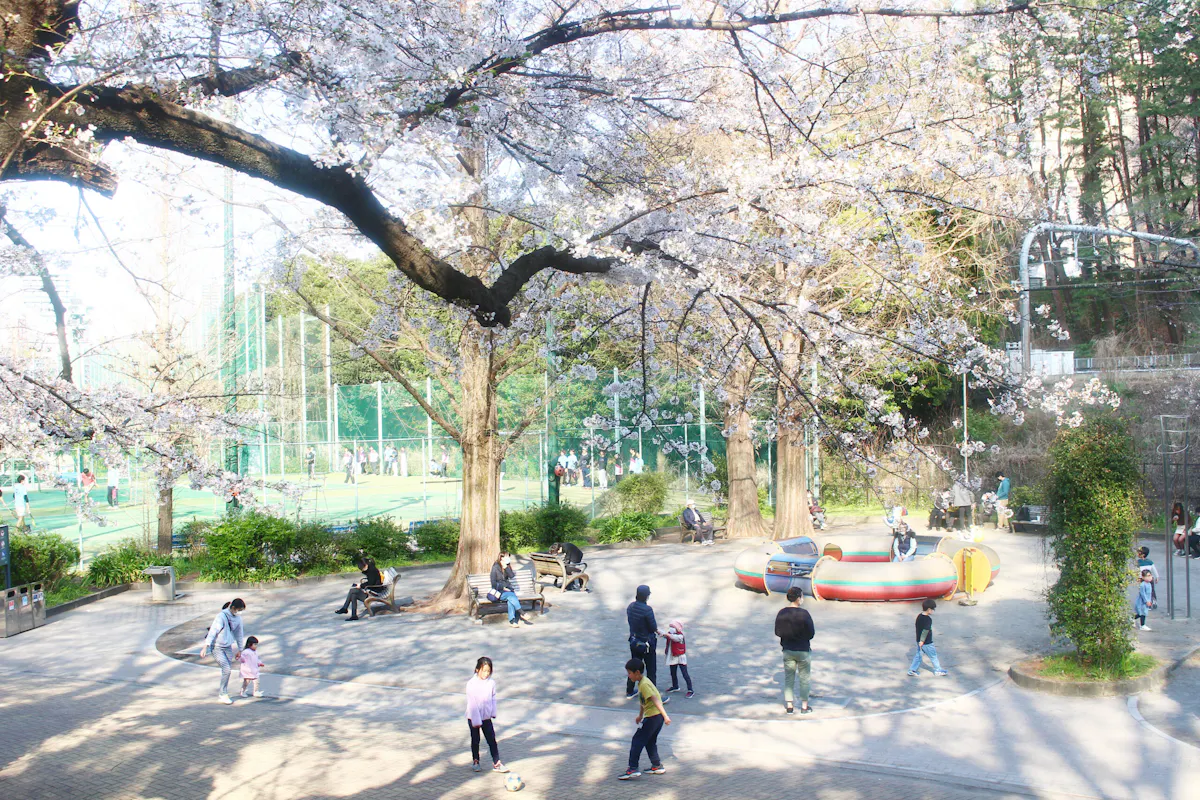外濠公園は駅チカの桜スポット!市ヶ谷、四ツ谷から歩いて行ける憩いの場|株式会社オマツリジャパン