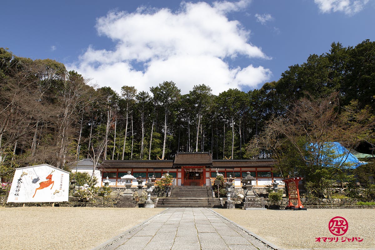 三日間だけ咲く幻の桜 千眼桜 京都 大原野神社 オマツリジャパン あなたと祭りをつなげるメディア 三日間だけ咲く幻の桜 千眼桜 京都 大原野神社 オマツリジャパン あなたと祭りをつなげるメディア