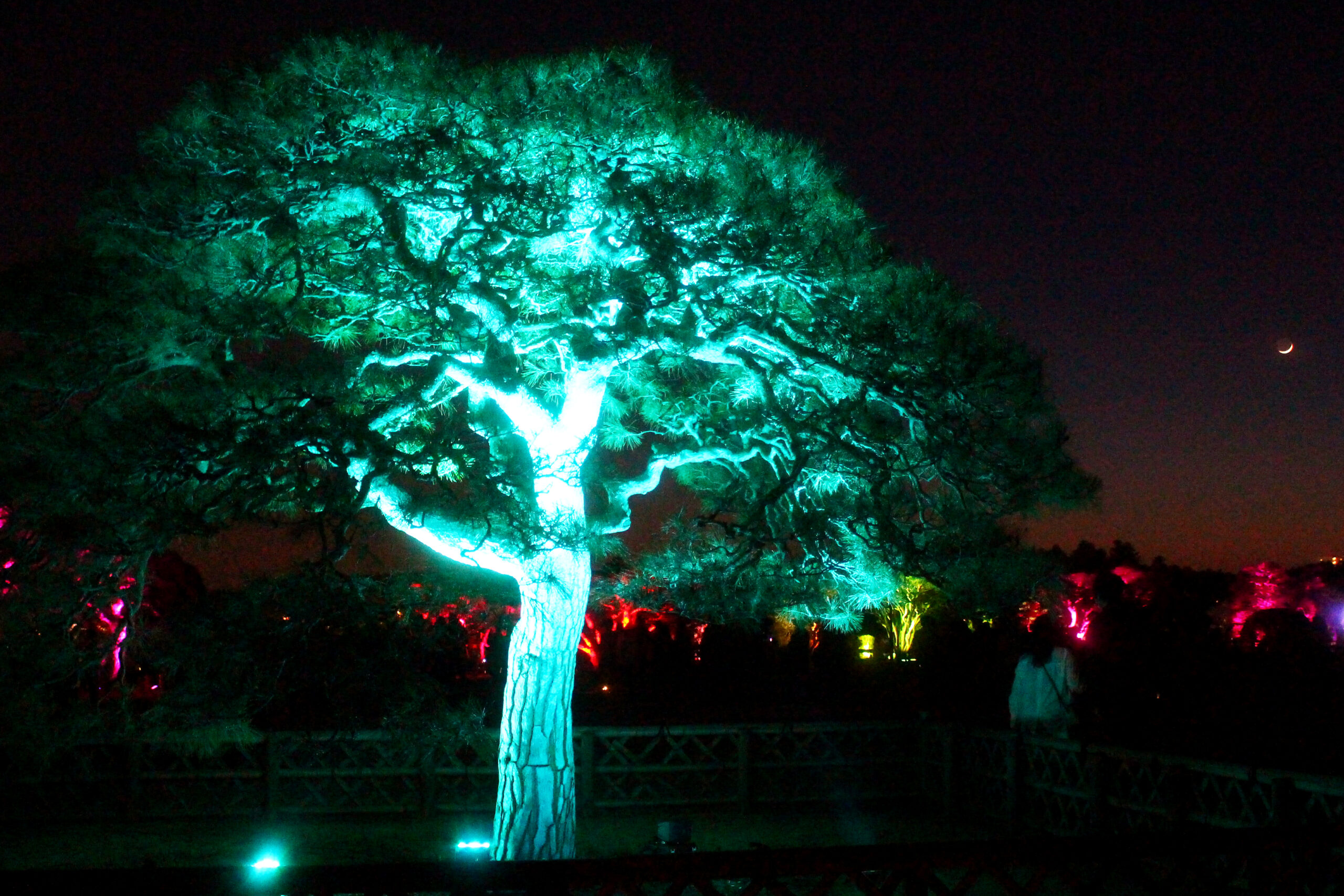 水戸の梅まつり