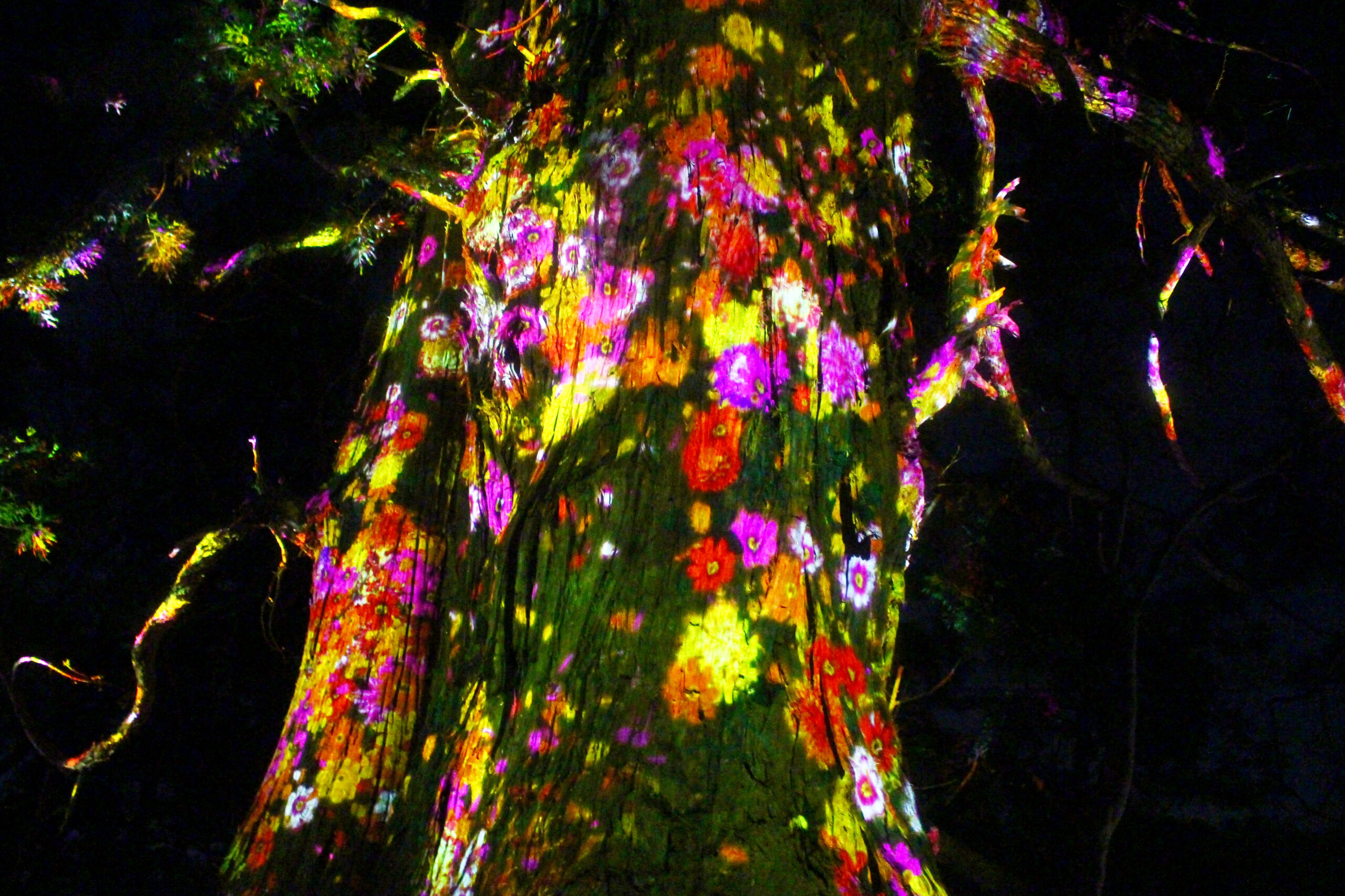 水戸の梅まつり