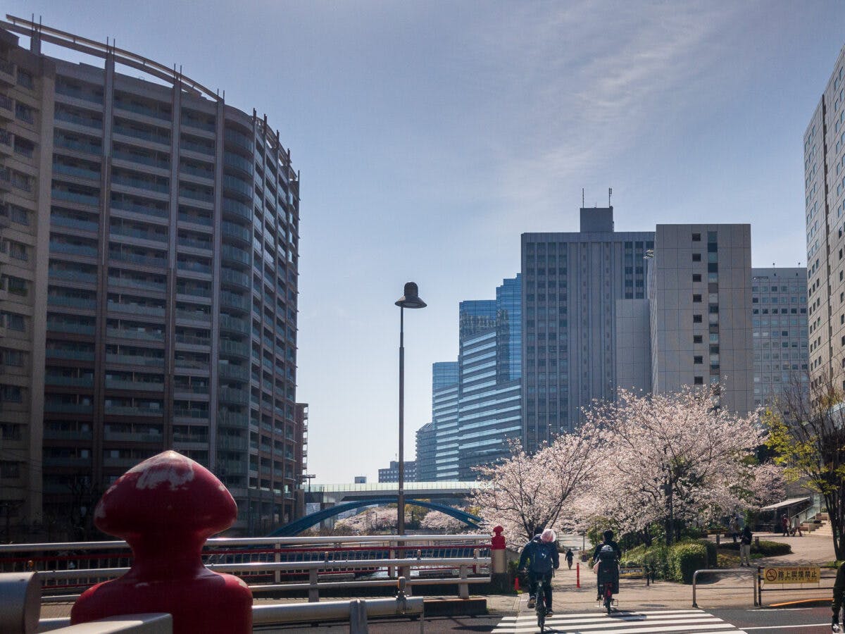 目黒川の桜 五反田駅 旧東海道 品川橋 を巡るぶらり散歩 オマツリジャパン あなたと祭りをつなげるメディア 目黒川の桜 五反田駅 旧東海道 品川橋 を巡るぶらり散歩 オマツリジャパン あなたと祭りをつなげるメディア