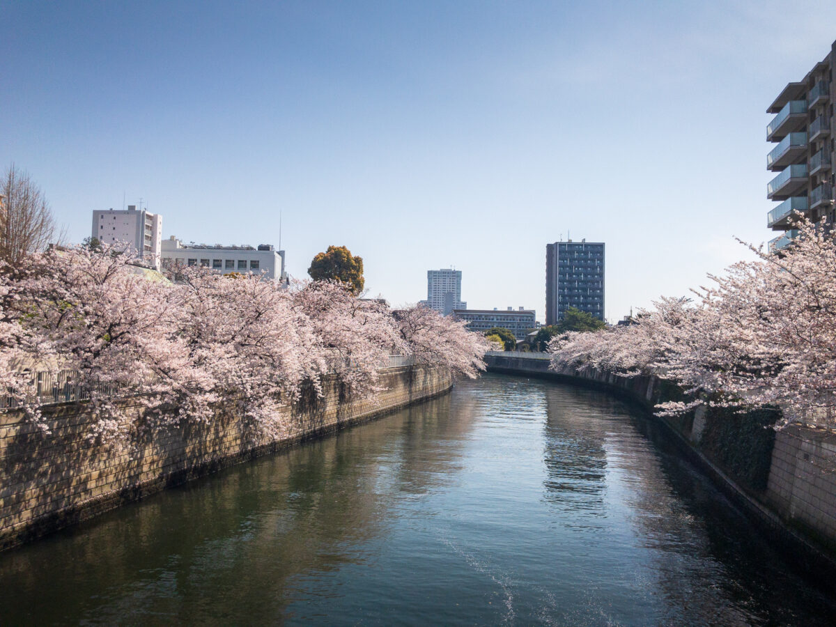 目黒川(五反田駅〜旧東海道・品川橋)