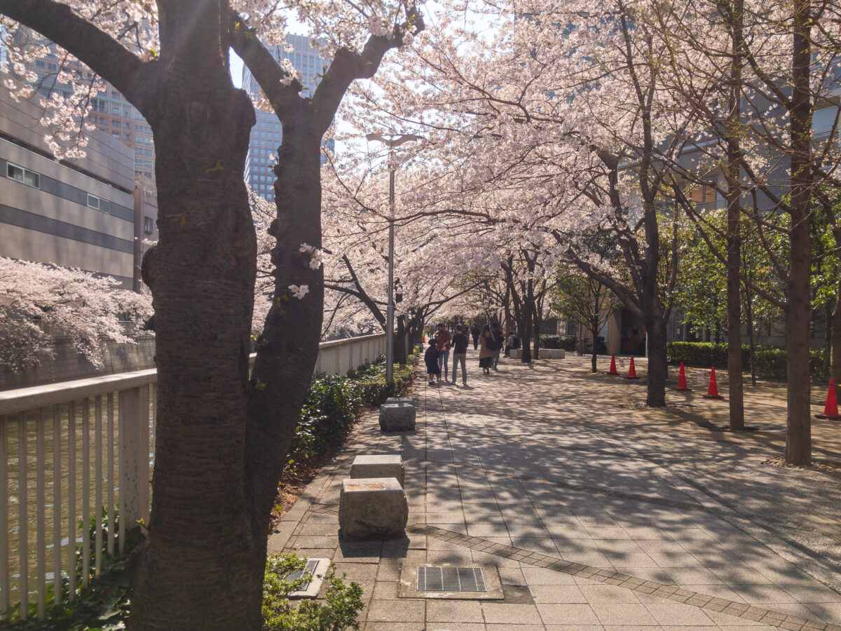 目黒川(五反田駅〜旧東海道・品川橋)