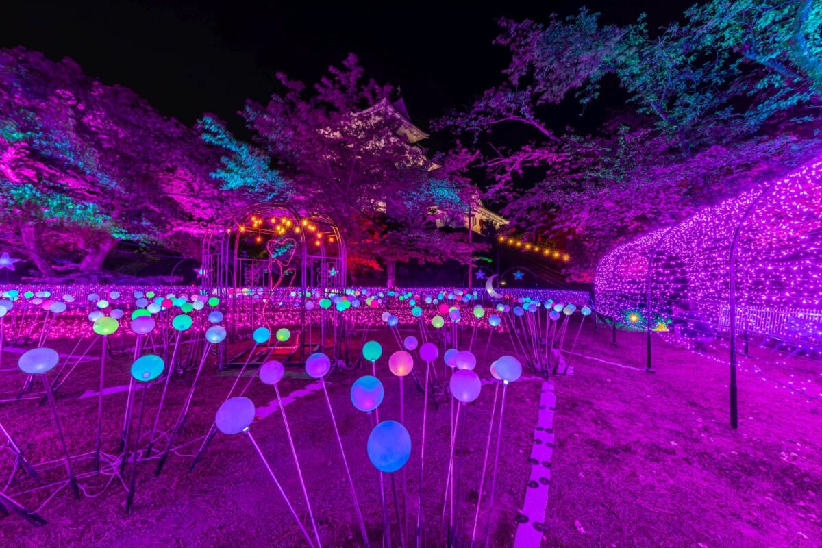 【夜に遊ぶ 光のこども遊園地】