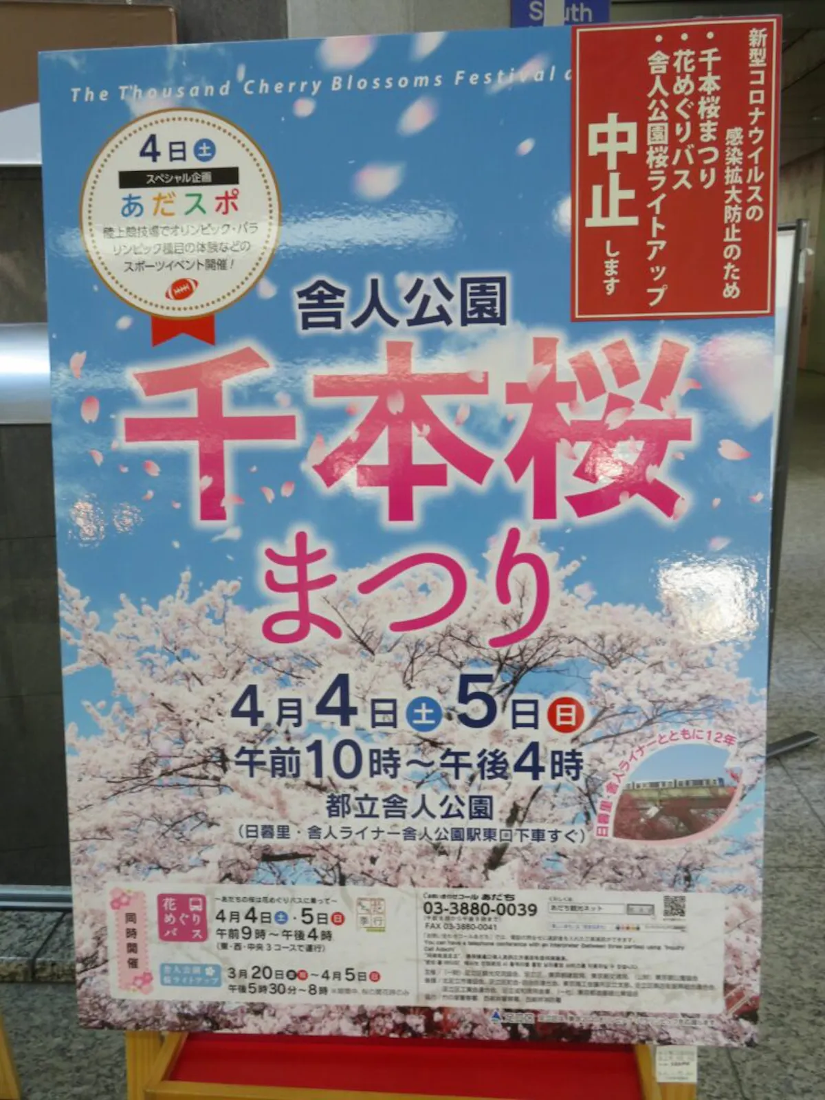 舎人公園千本桜まつり 日暮里 舎人ライナーの開通を記念して初開催 オマツリジャパン あなたと祭りをつなげるメディア 舎人公園千本桜まつり 日暮里 舎人ライナーの開通を記念して初開催 オマツリジャパン あなたと祭りをつなげるメディア