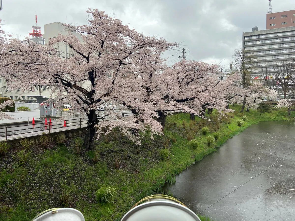 ア ラ モンタンとは ナポリタンに似た盛岡b級グルメを実食 オマツリジャパン あなたと祭りをつなげるメディア