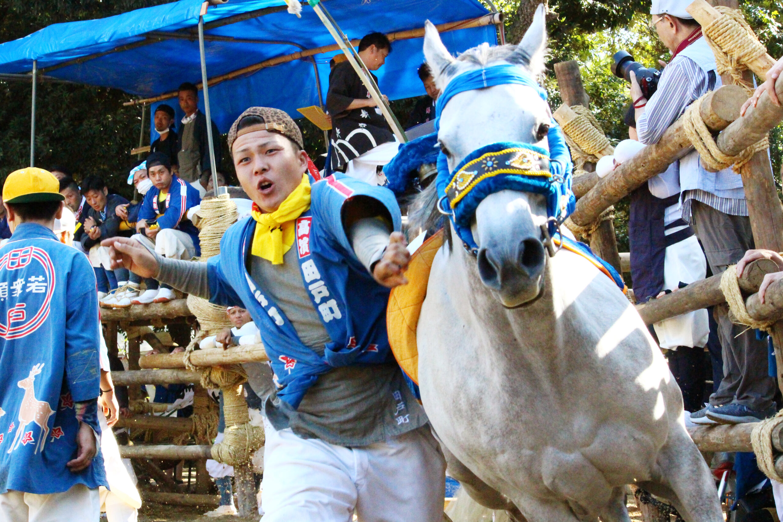 高浜おまんと祭り