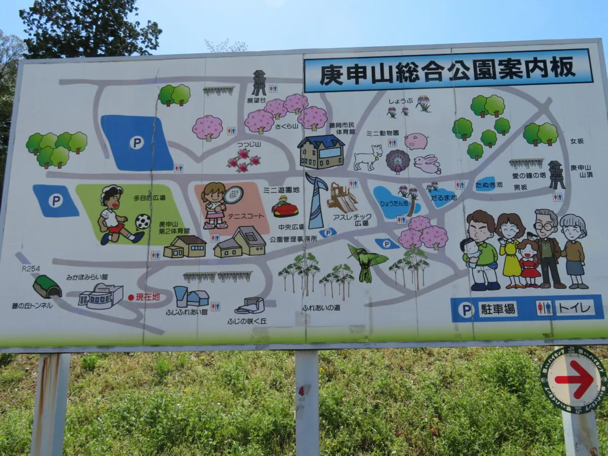 藤岡ふじまつりが開催中 植えられている品種は45種類 オマツリジャパン あなたと祭りをつなげるメディア