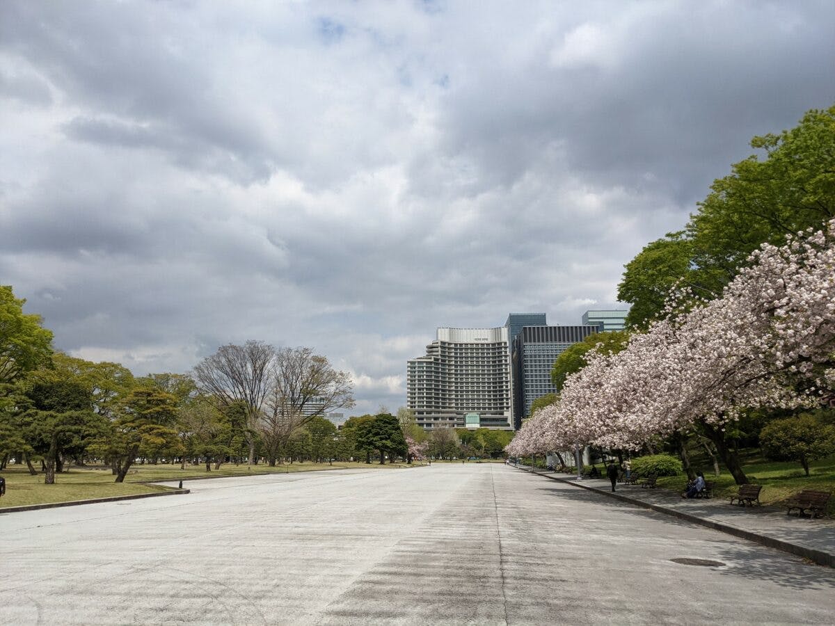 皇居外苑で桜は見れる?知られざる歴史と合わせてご紹介