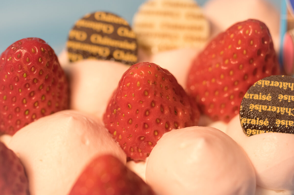 シャトレーゼ「こいのぼりデコレーション」