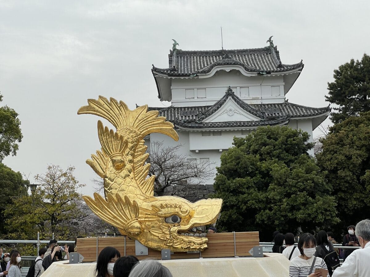 名古屋城春まつり」現地レポート！16年ぶりにあのシンボルが地上に降臨