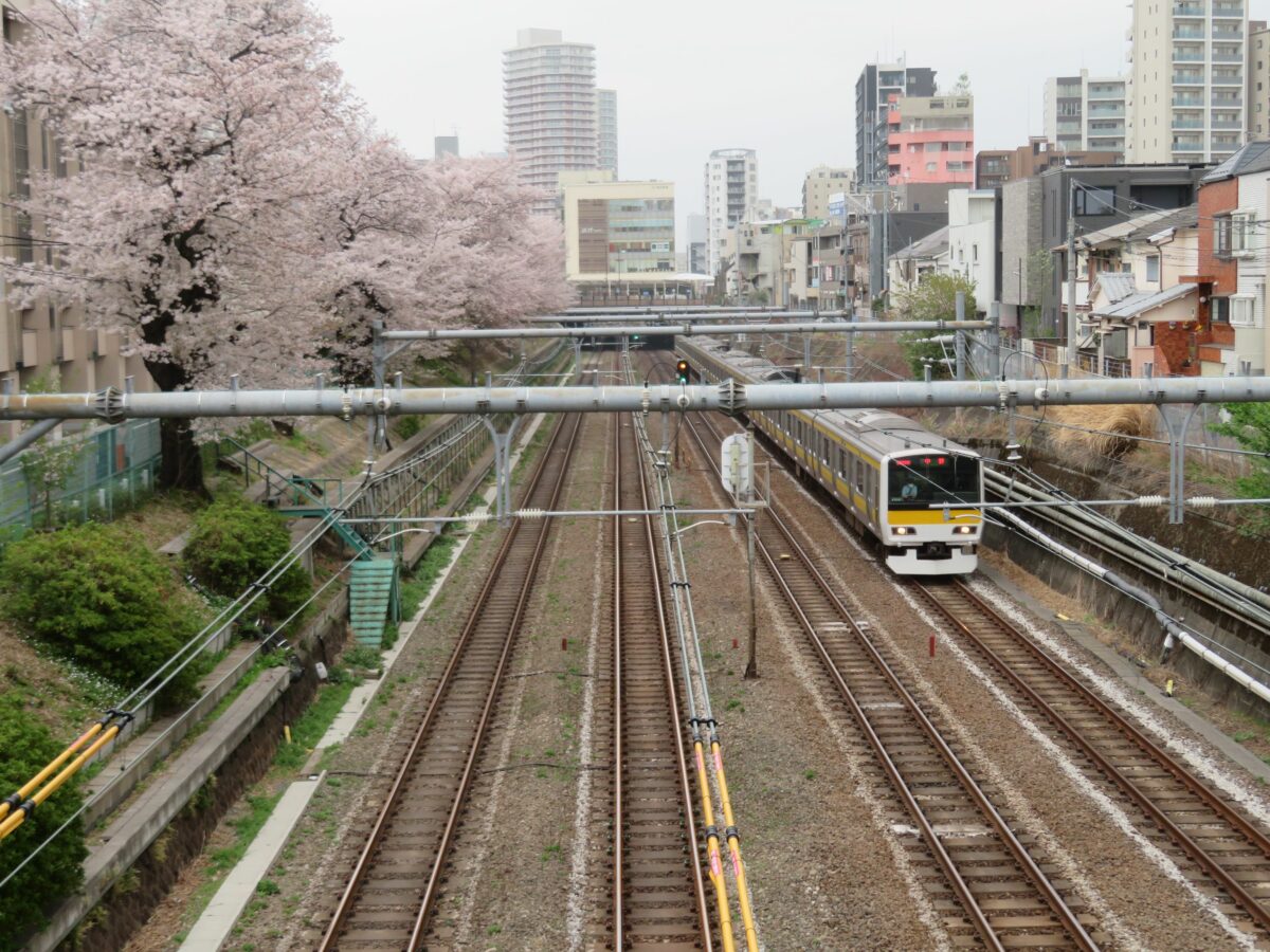 【総武線で車窓花見】東中野～中野の区間で線路の北側に接する桜山通り