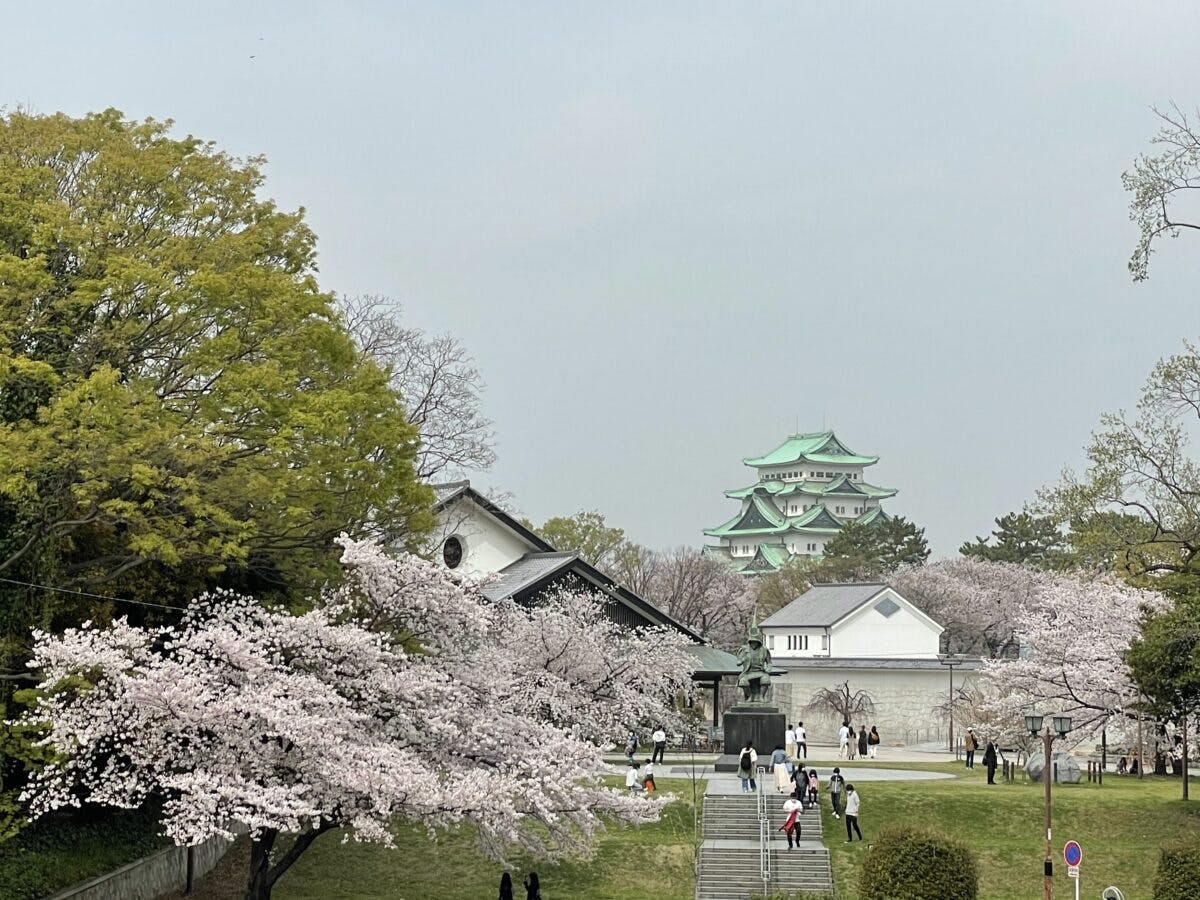 名古屋城春まつり 現地レポート 16年ぶりにあのシンボルが地上に降臨 オマツリジャパン あなたと祭りをつなげるメディア