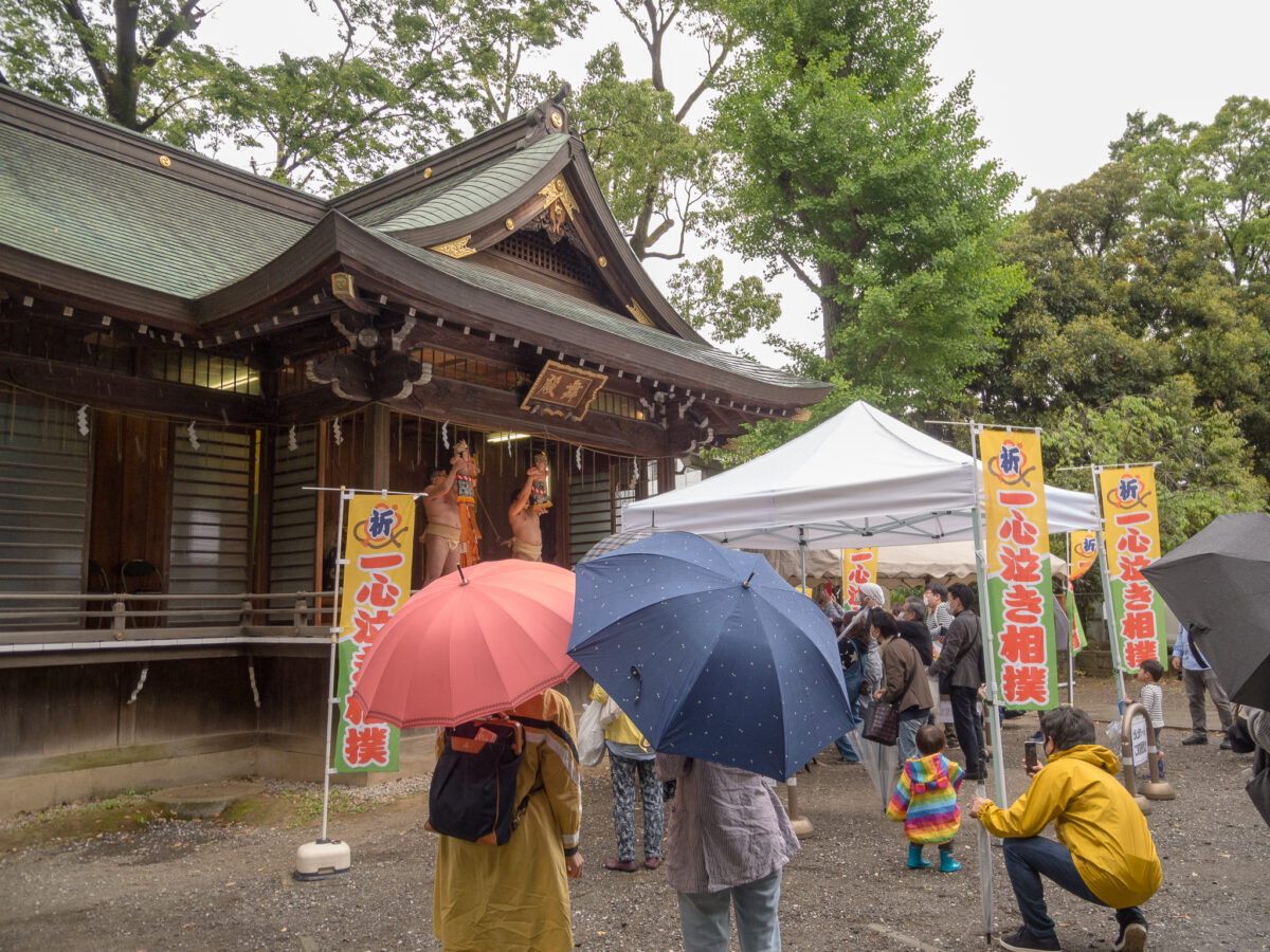 一心泣き相撲®「雪ヶ谷場所」