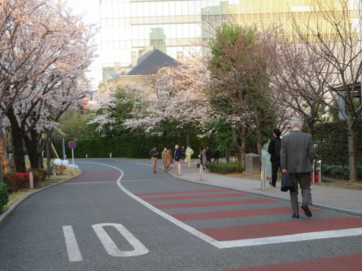 赤坂サカスの桜 早春の彩りで包まれる東京都港区のtbs放送センター オマツリジャパン あなたと祭りをつなげるメディア