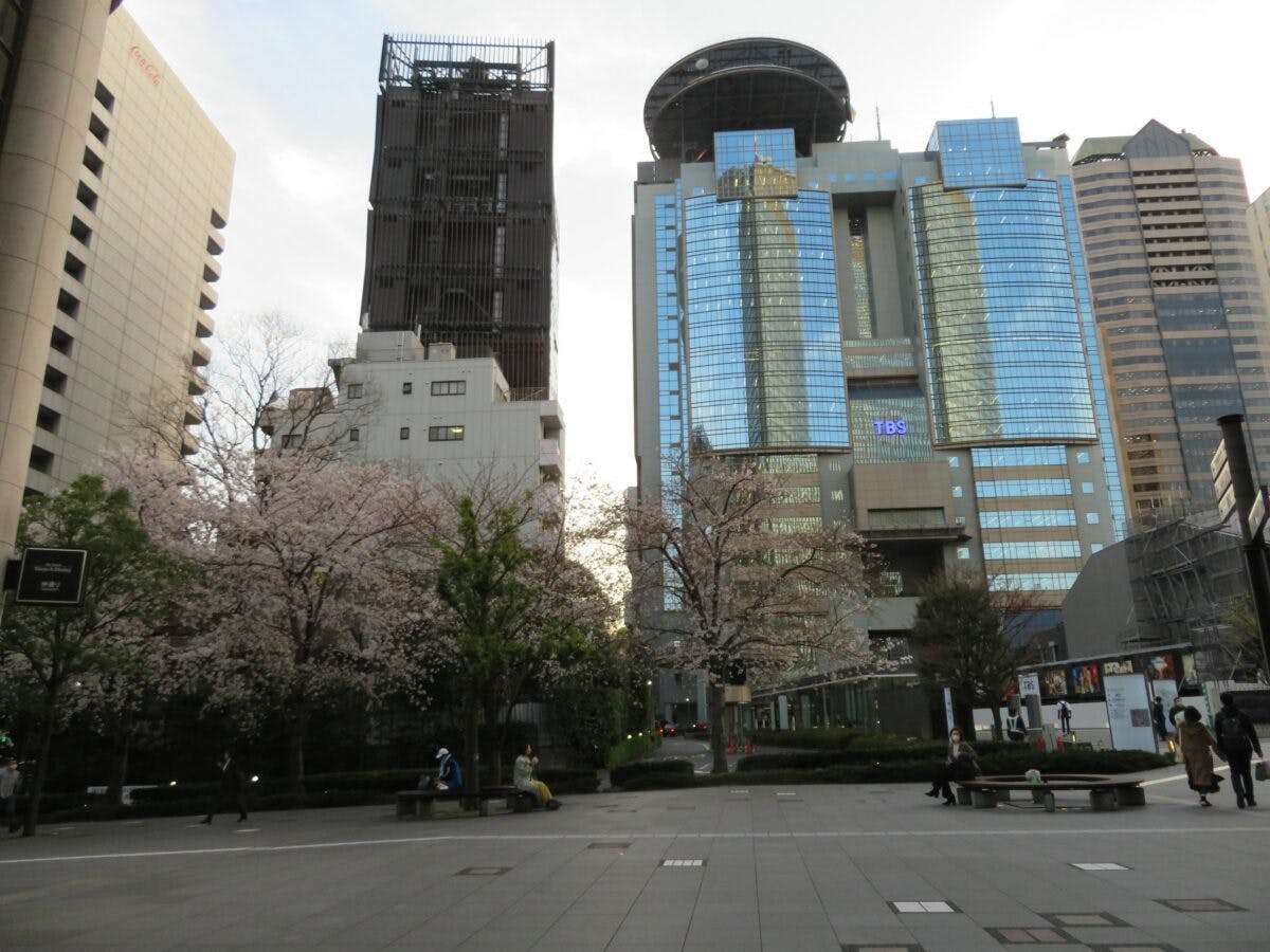 赤坂サカスの桜 早春の彩りで包まれる東京都港区のtbs放送センター オマツリジャパン あなたと祭りをつなげるメディア