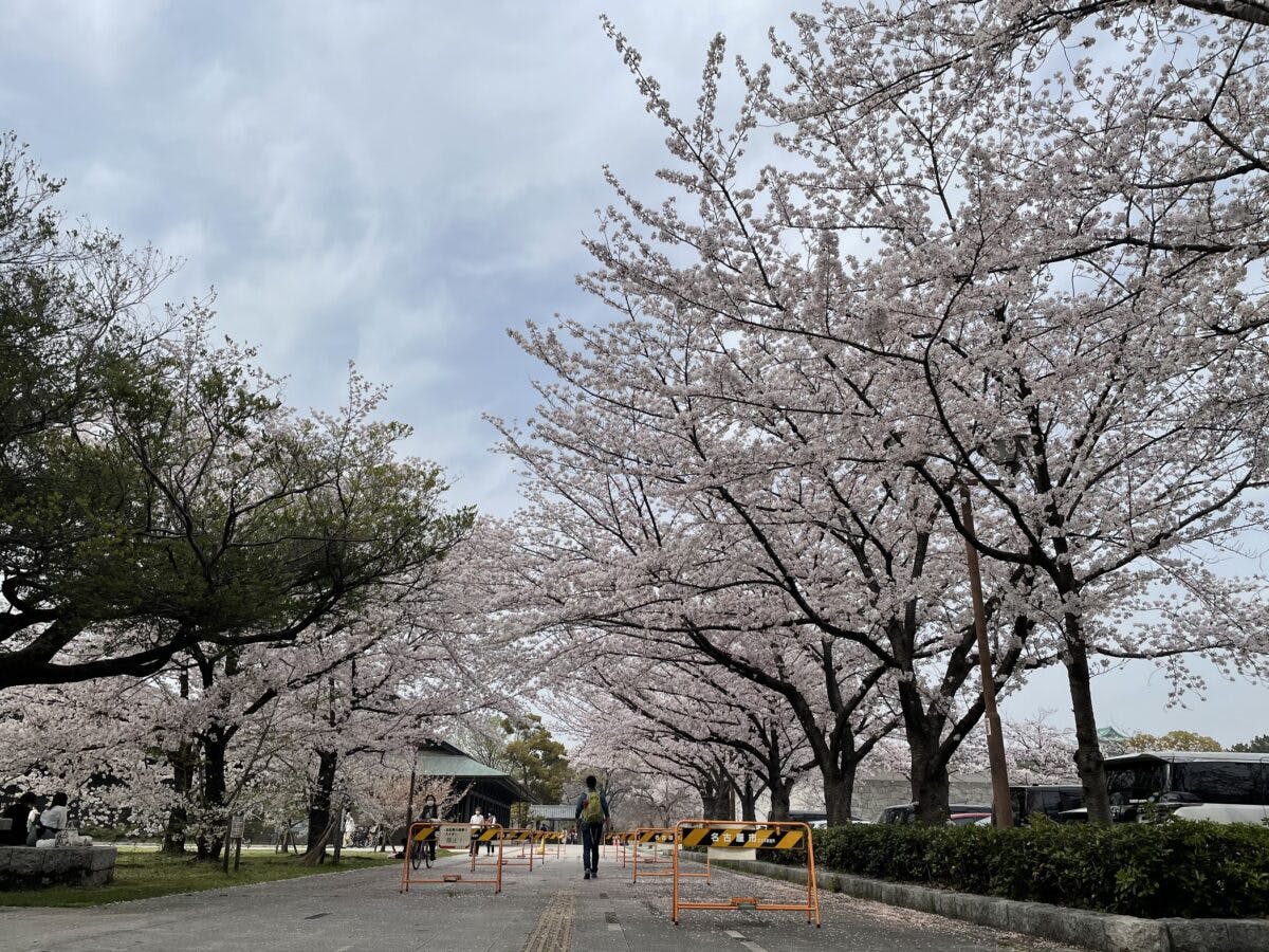 名古屋城春まつり 現地レポート 16年ぶりにあのシンボルが地上に降臨 オマツリジャパン あなたと祭りをつなげるメディア 名古屋城春まつり 現地レポート 16年ぶりにあのシンボルが地上に降臨 オマツリジャパン あなたと祭りをつなげるメディア
