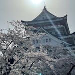 【静岡県熱海市】絶景パノラマを堪能出来る！熱海城と桜！現地レポート！