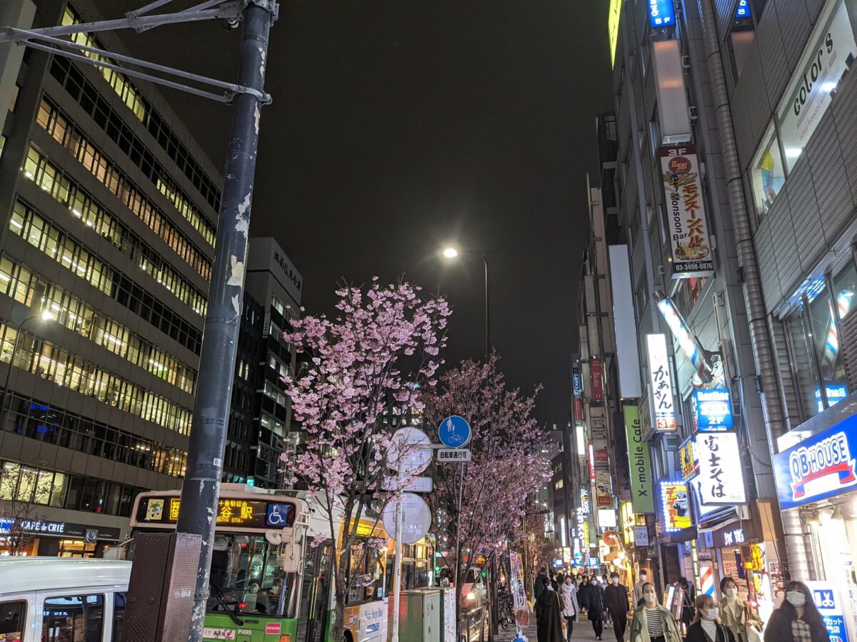渋谷・恵比寿で桜は見れる？銭湯「改良湯」の桜イベントもご紹介