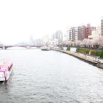 隅田公園は隅田川両岸に広がる桜の名所！オープンしたての話題の新施設も登場！？