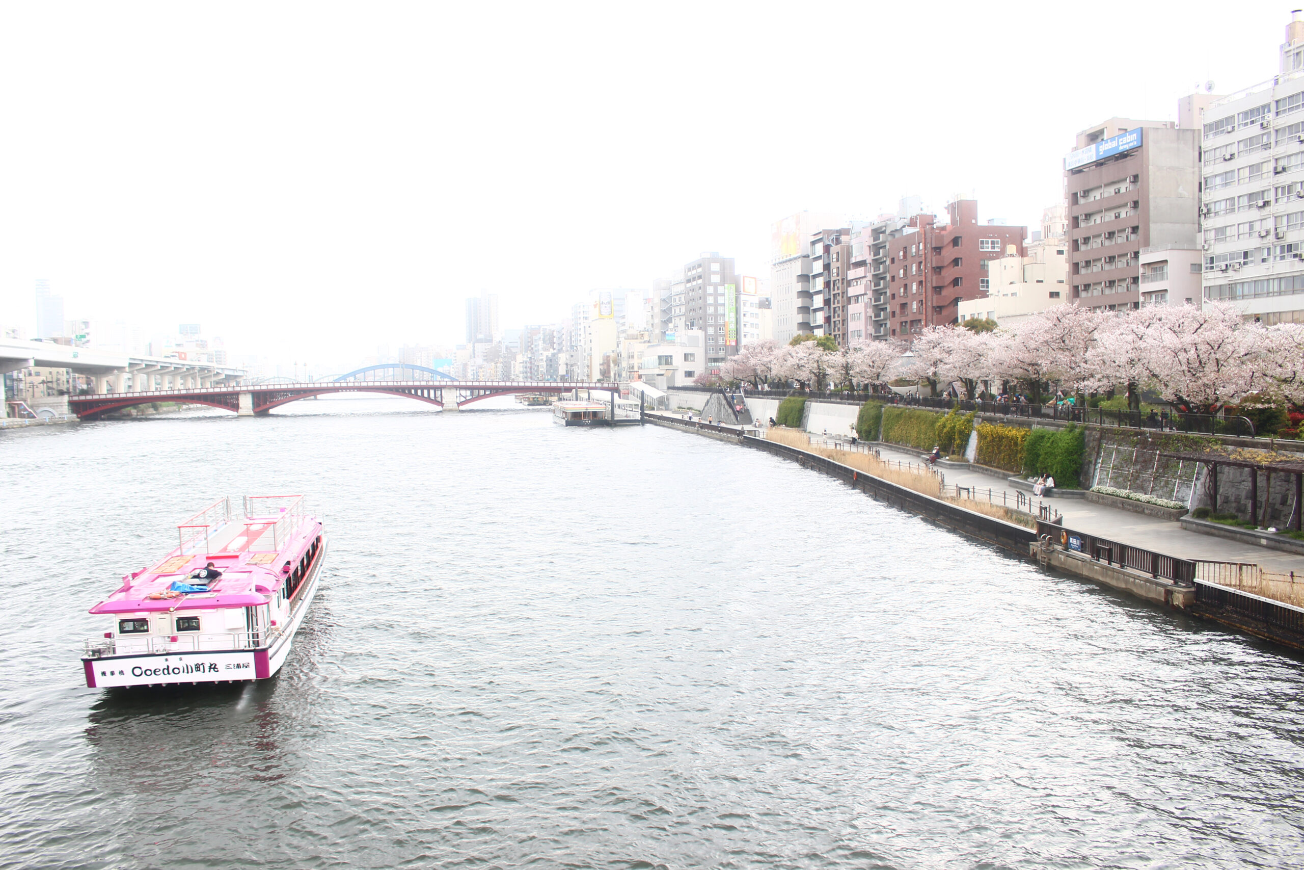 【一番野郎】1110　河辺＋0713　宮田 京都の列車No.7】 183系200番台 / 223系5500番台 1/10 #描き鉄