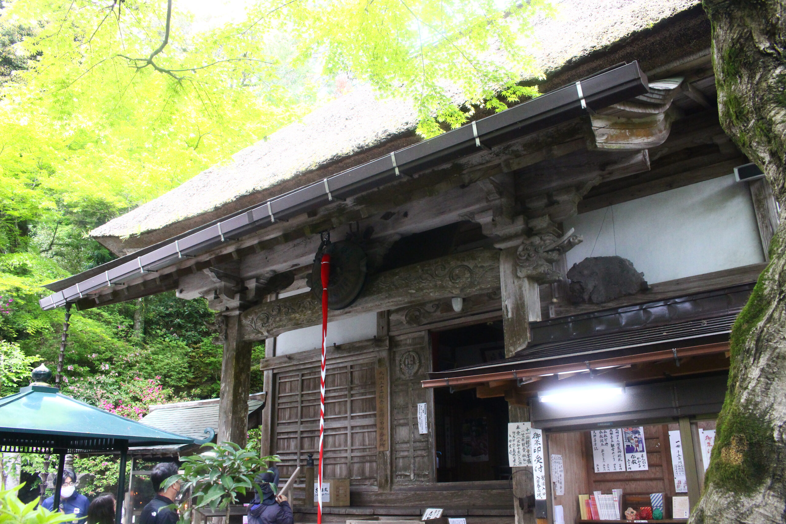 大興善寺つつじまつり