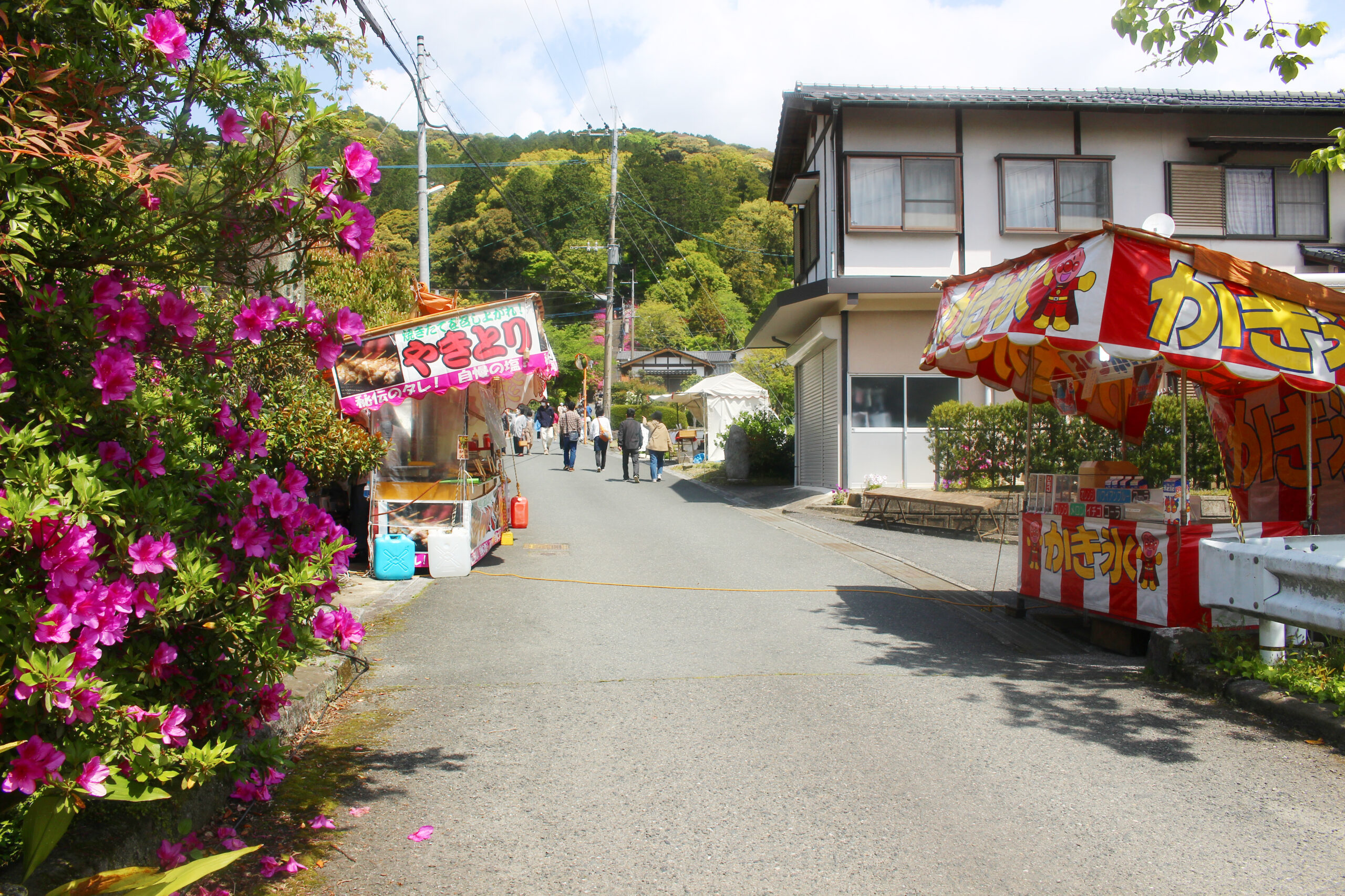 大興善寺つつじまつり