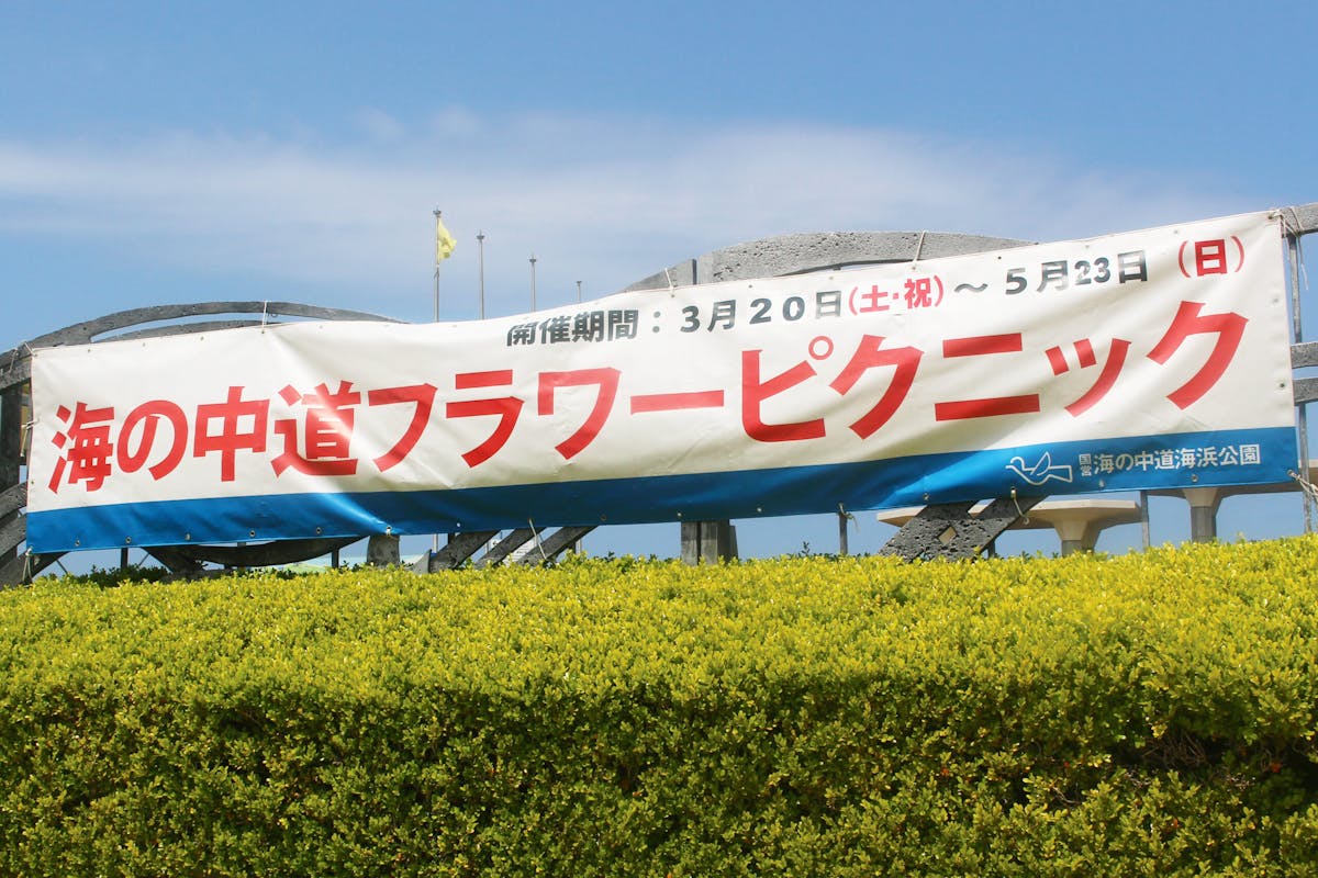 海の中道フラワーピクニック21 1万本のネモフィラが瑠璃色に広がる公園 オマツリジャパン あなたと祭りをつなげるメディア 海の中道フラワーピクニック21 1万本のネモフィラが瑠璃色に広がる公園 オマツリジャパン あなたと祭りをつなげるメディア