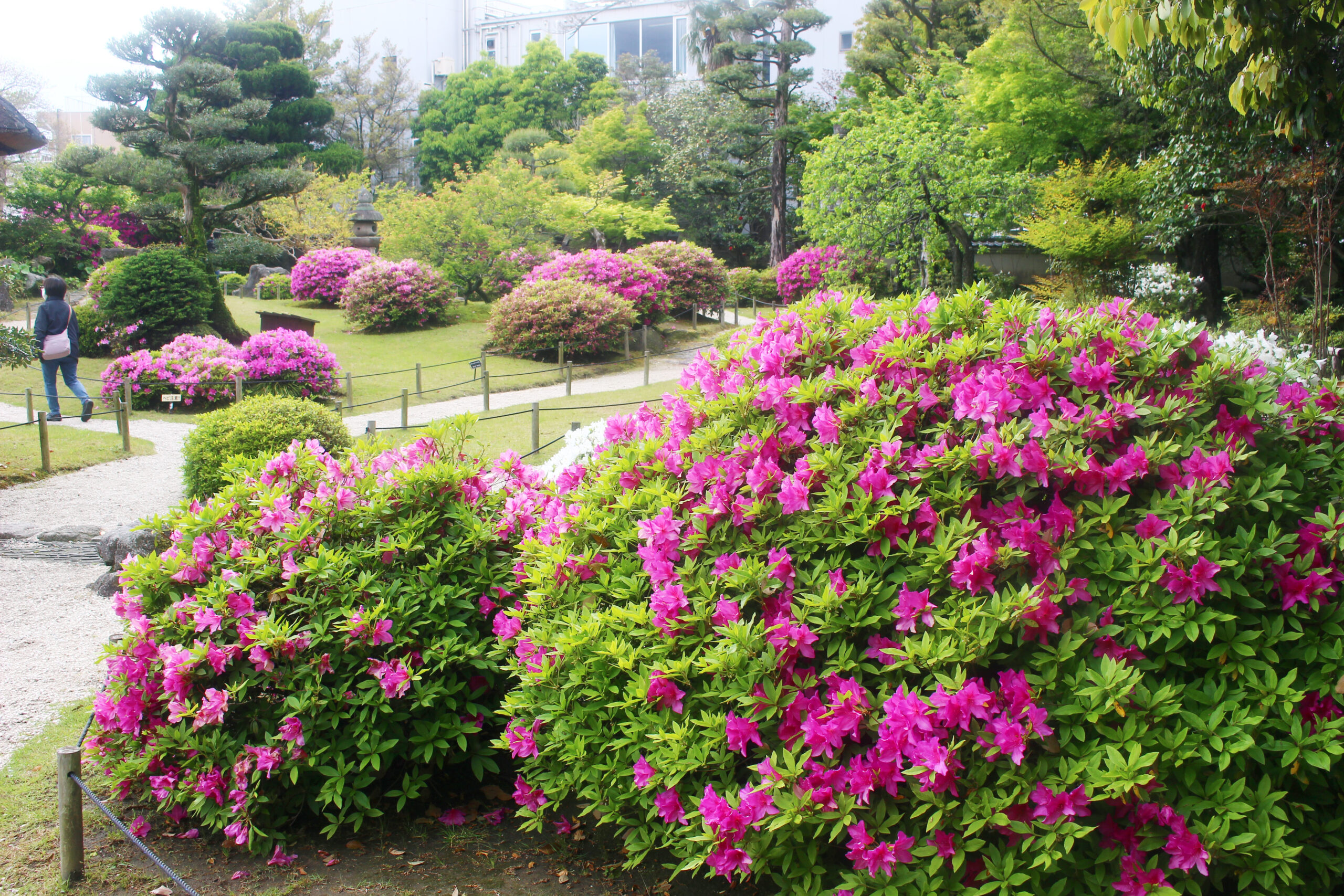 旧伊藤伝右衛門邸