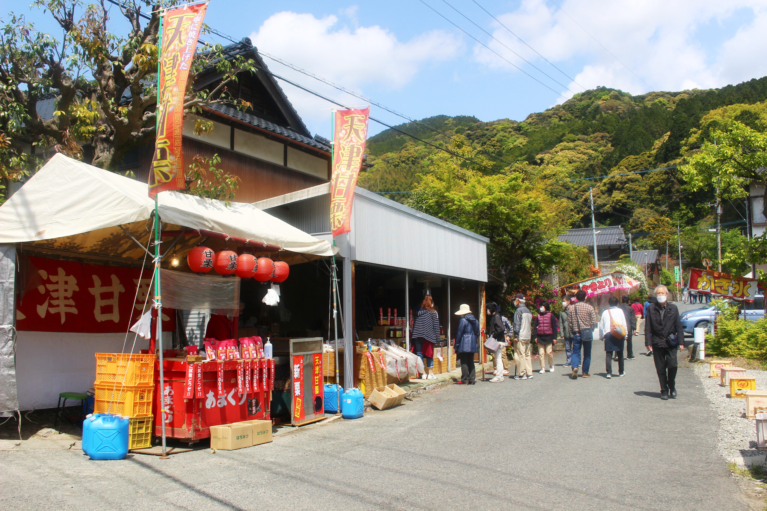 大興善寺つつじまつり