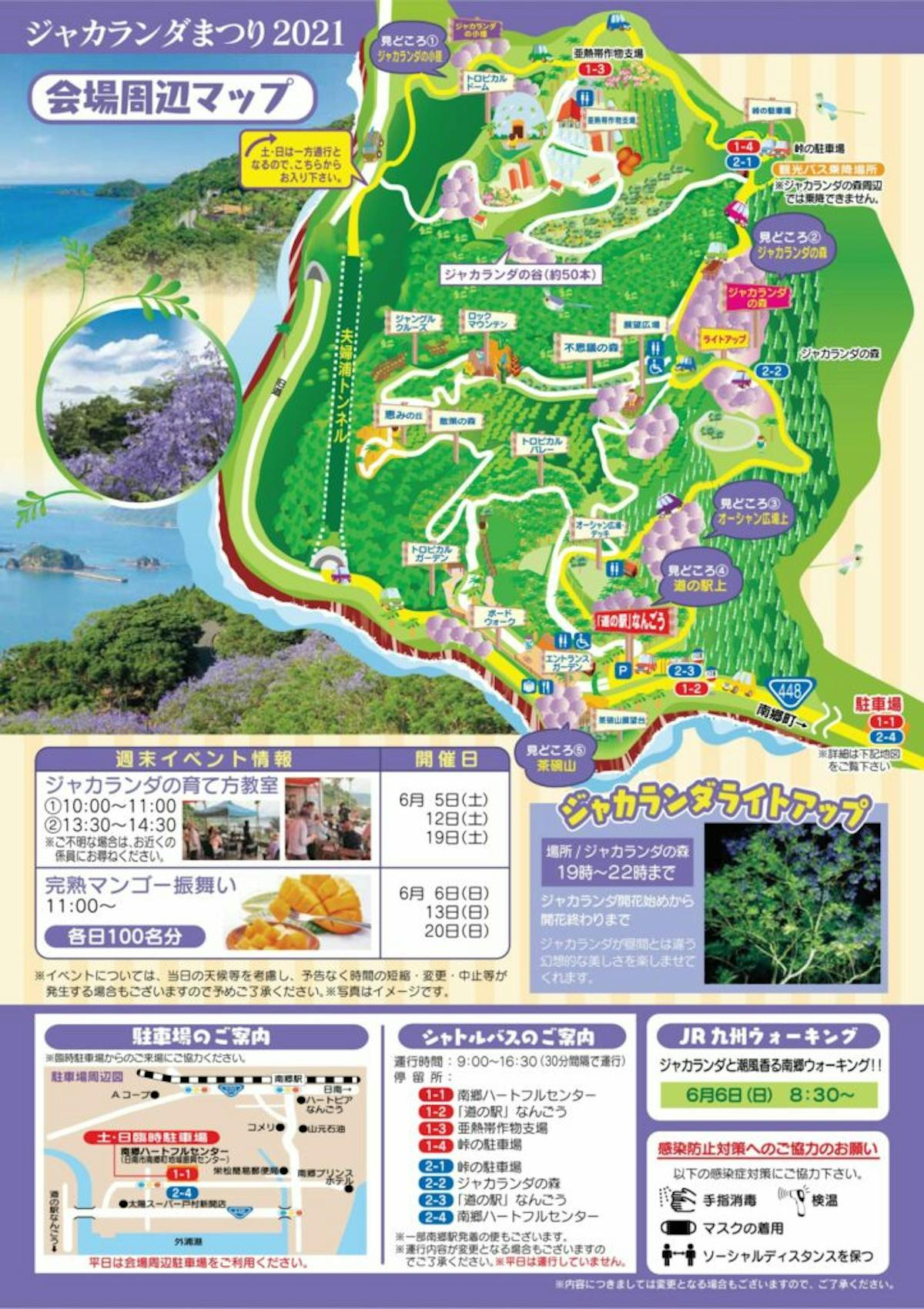 紫のシャワーを浴びてみたい 宮崎県日南市の ジャカランダまつり オマツリジャパン あなたと祭りをつなげるメディア