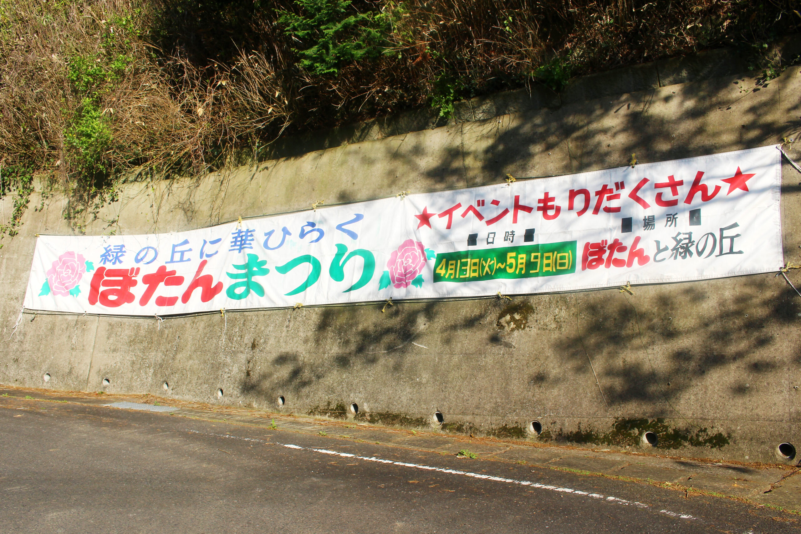 ぼたんと芍薬まつり