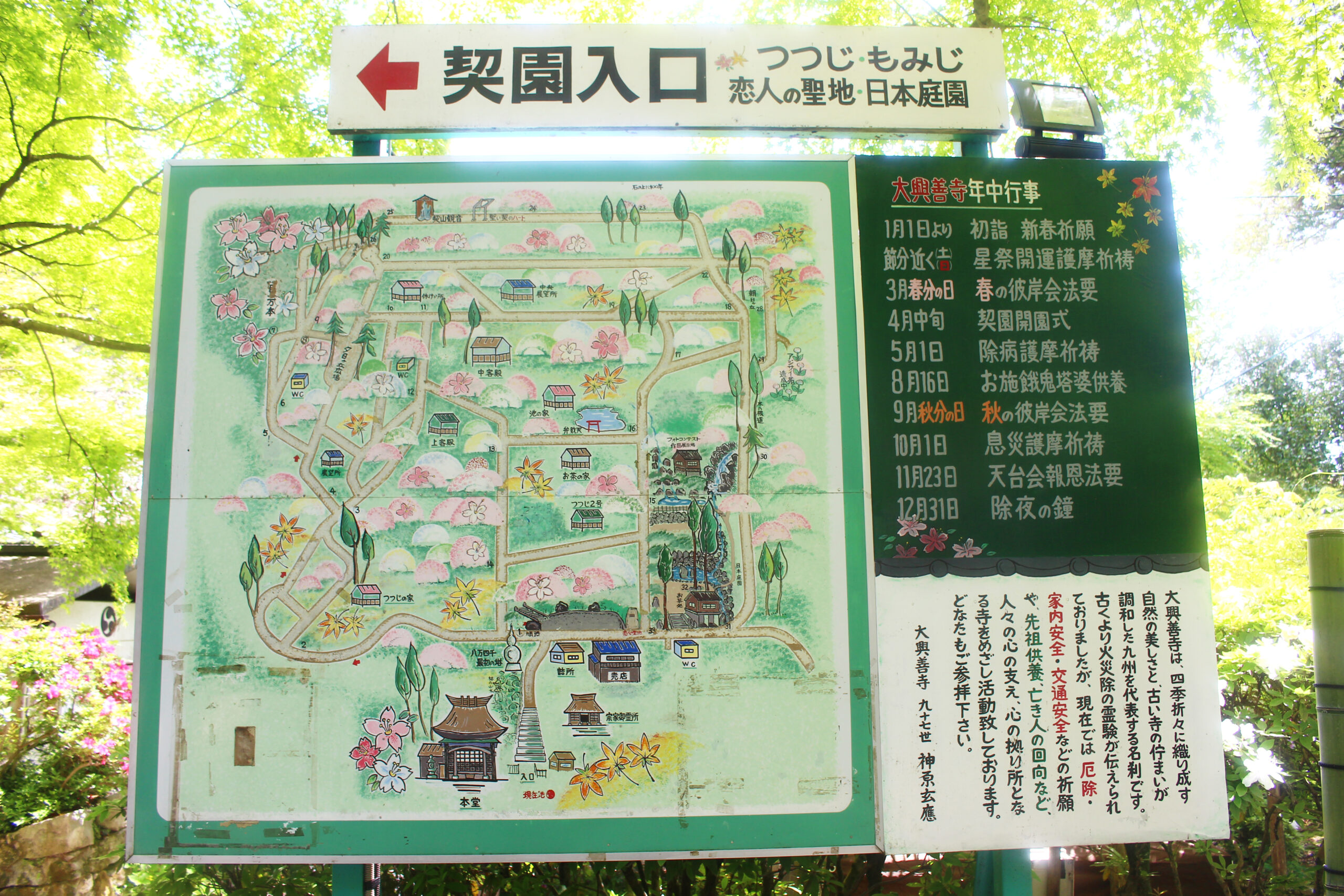 大興善寺つつじまつり