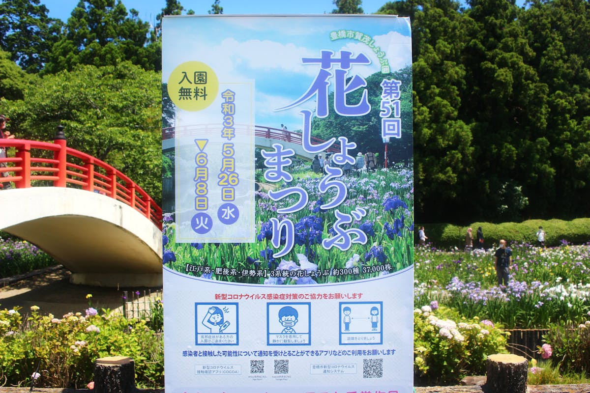 賀茂しょうぶ園花しょうぶまつり21 300種 株の花が咲き広がる豊橋の祭り オマツリジャパン 毎日 祭日 賀茂しょうぶ園花しょうぶまつり21 300種 株の花が咲き広がる豊橋の祭り オマツリジャパン 毎日 祭日