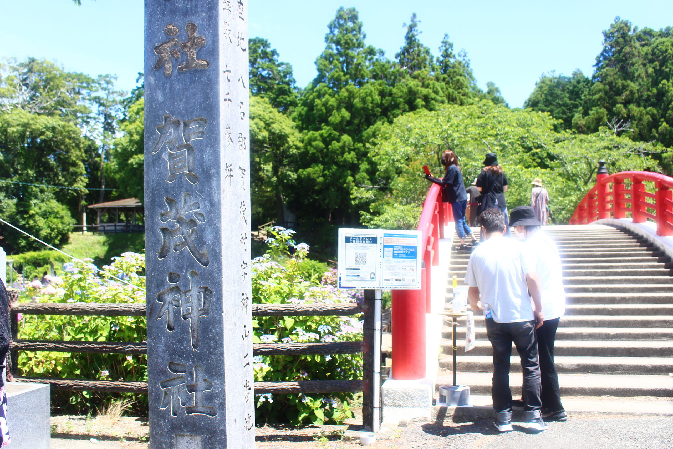 賀茂しょうぶ園