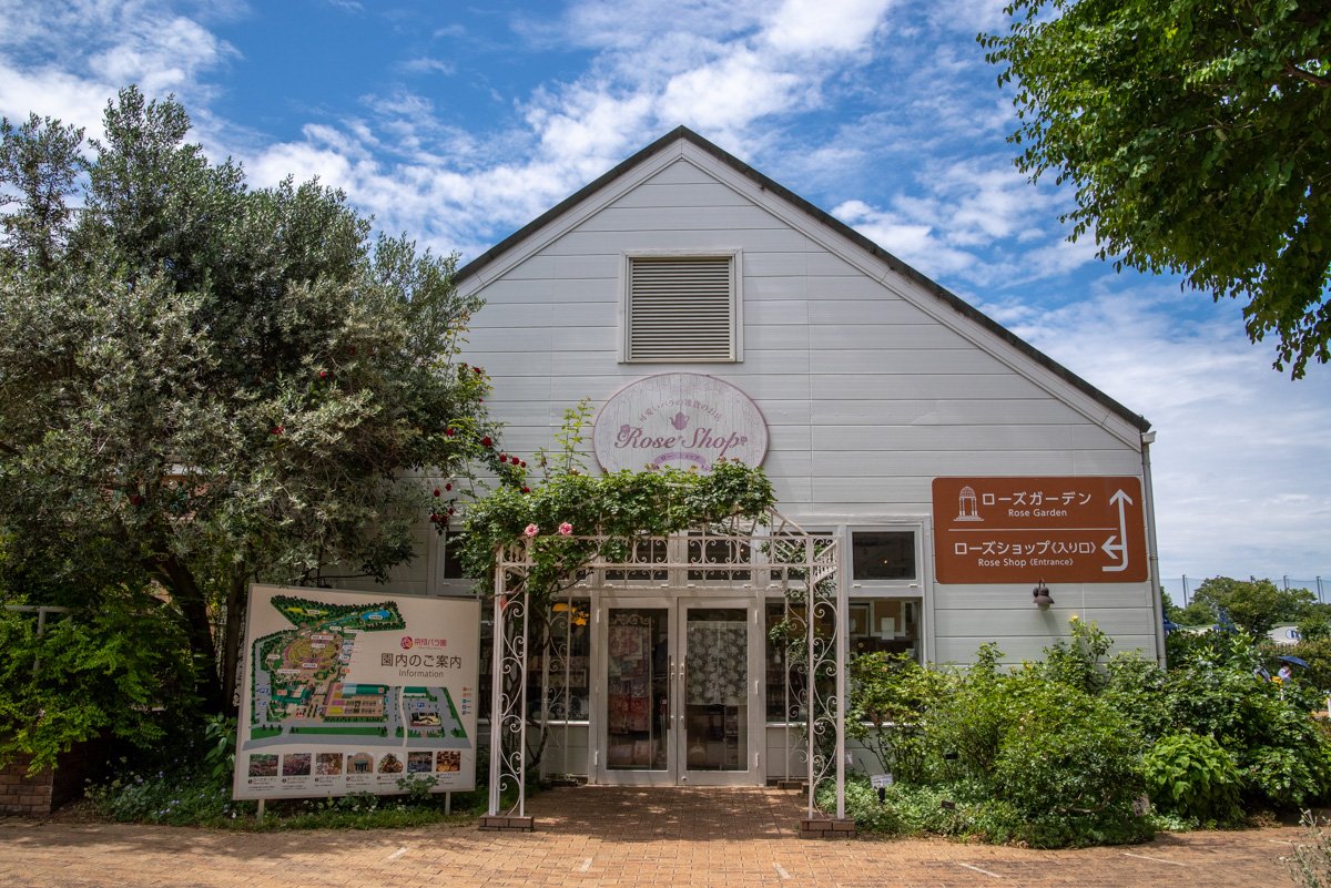 京成バラ園 無料ゾーン2
