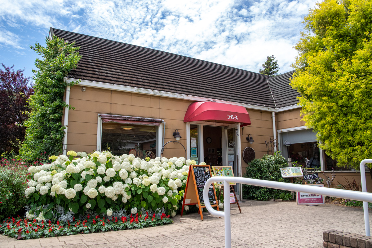 京成バラ園 無料ゾーン1