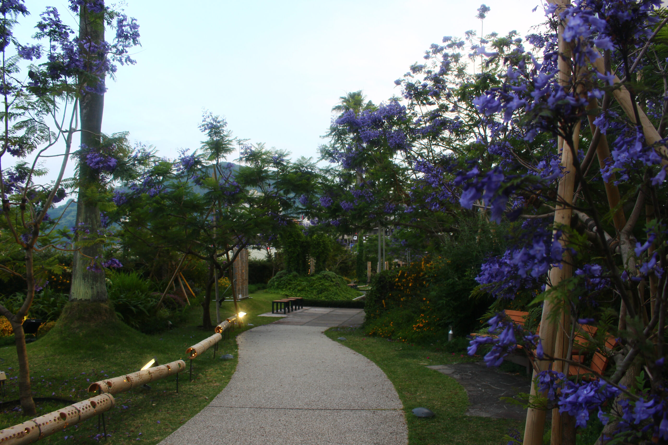 熱海ジャカランダ