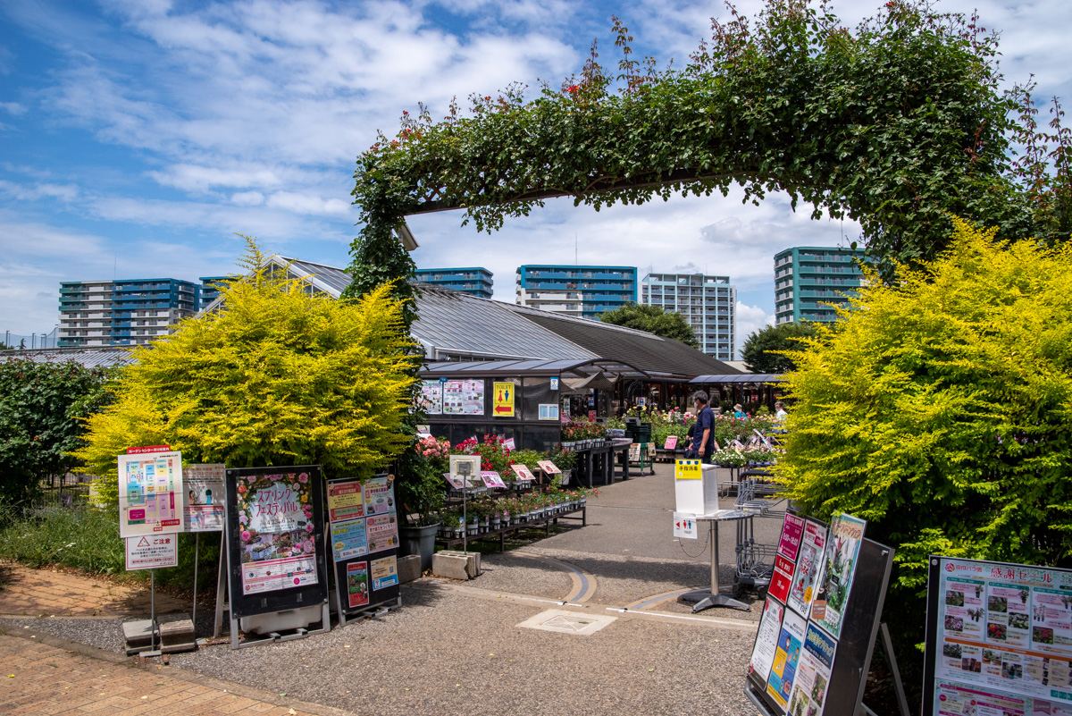 京成バラ園 無料ゾーン3