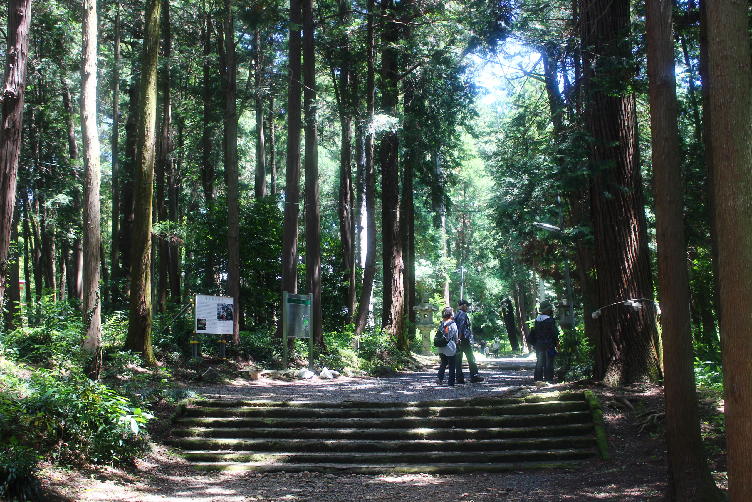 賀茂しょうぶ園