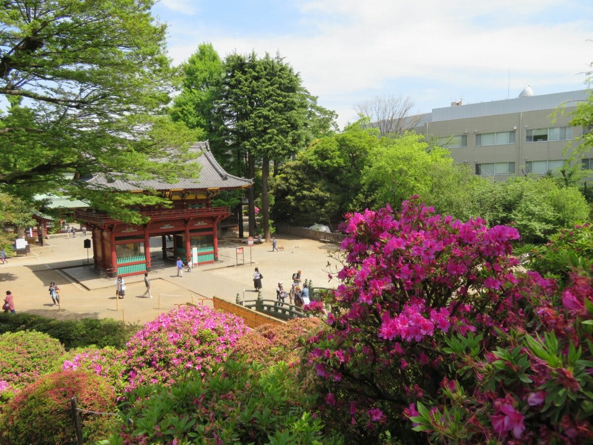 御朱印をもらいに神社 お寺に行こう 御朱印紹介記事まとめ オマツリジャパン あなたと祭りをつなげるメディア